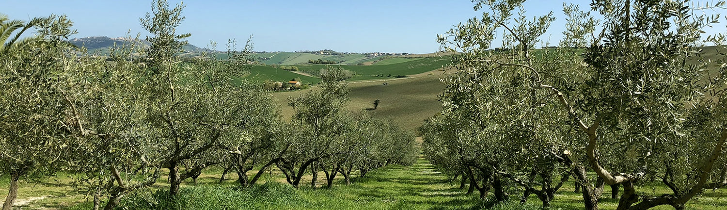 regions of Italy